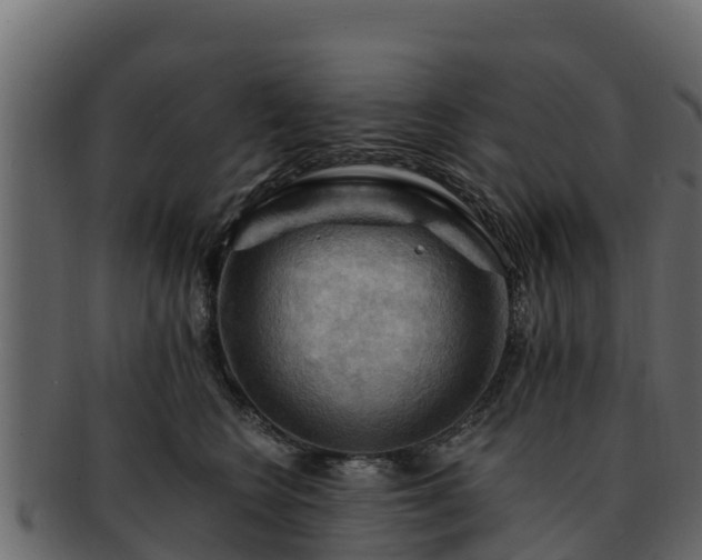 X0000092280566200710041413