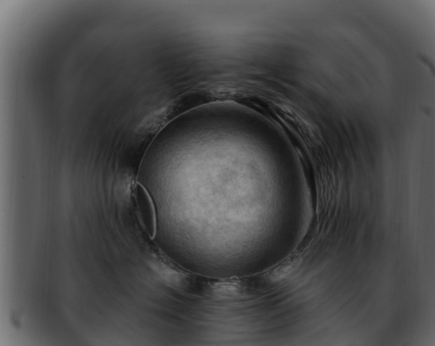 X0000092280574200710041413