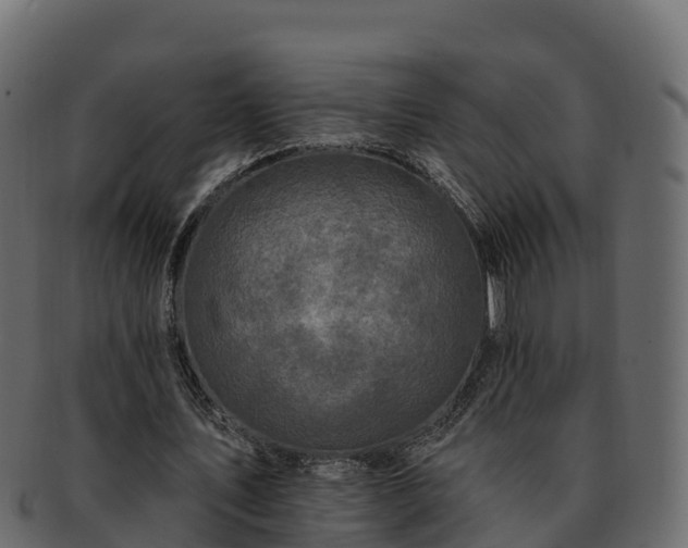 X0000092280579200710041412