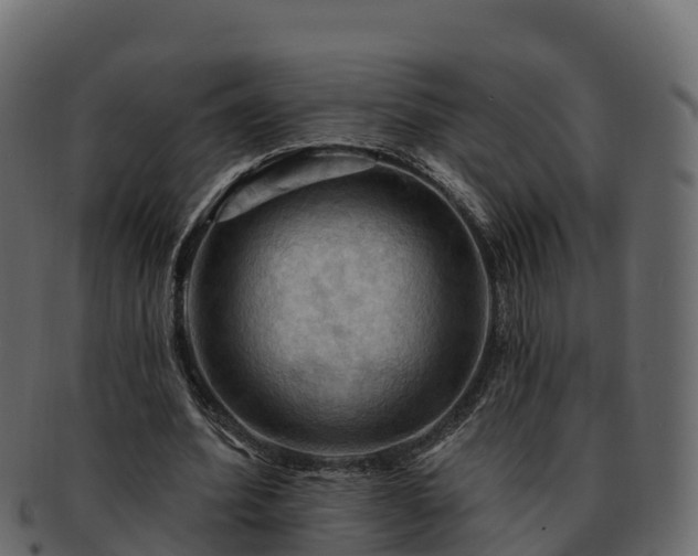 X0000092280580200710041412