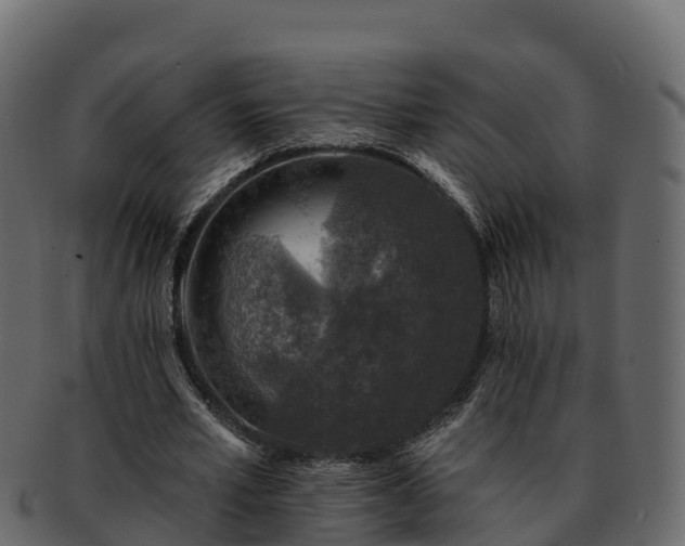 X0000092280581200710041412