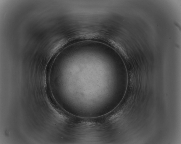 X0000092280582200710041412