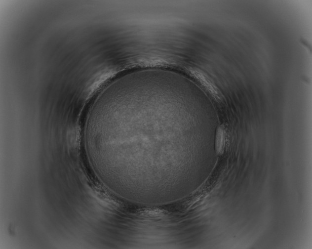 X0000092280583200710041412