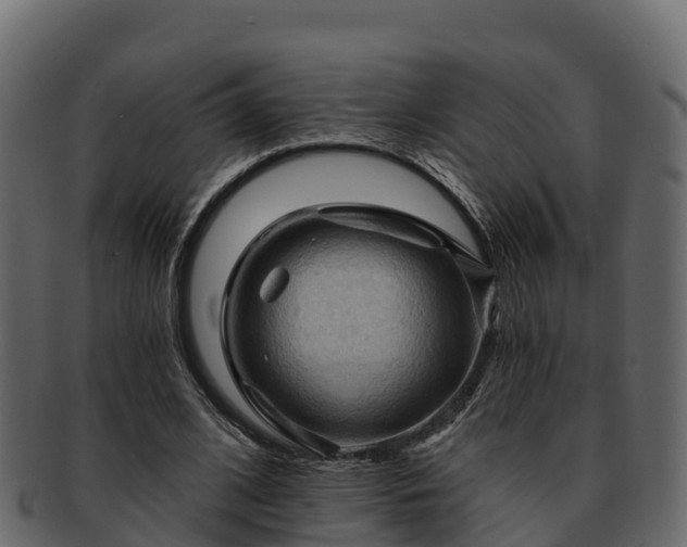 X0000092280584200710041412