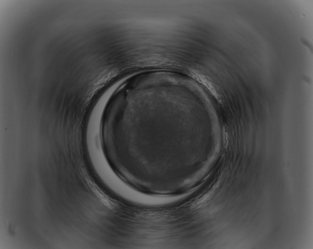 X0000092280589200710041412