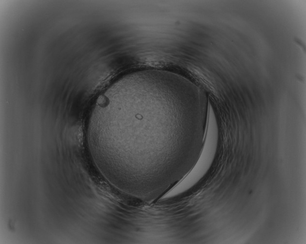 X0000092280595200710041412