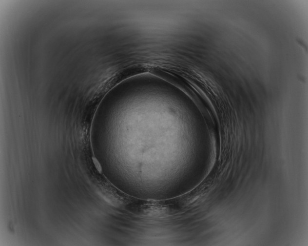 X0000092280601200710041412