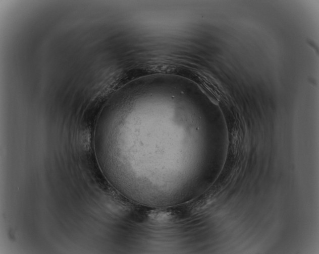 X0000092280602200710041412