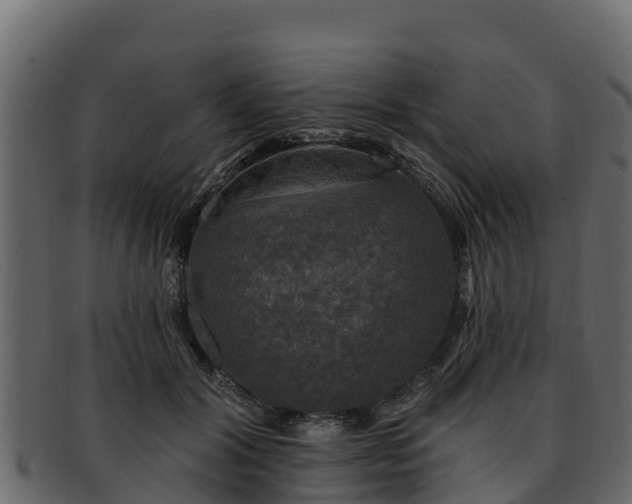 X0000092280604200710041412