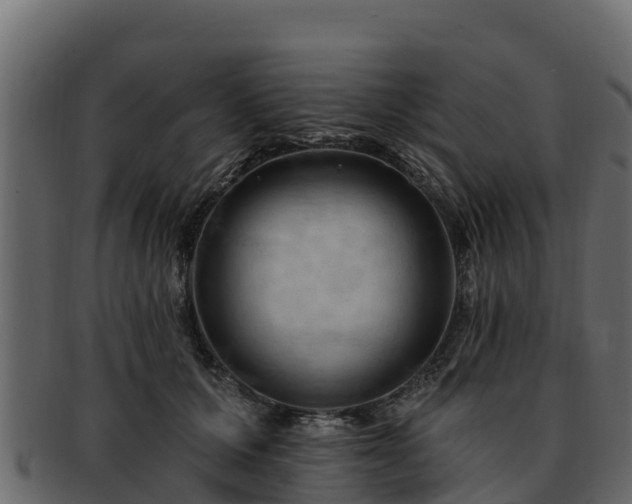 X0000092280607200710041412