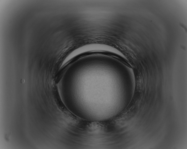 X0000092280608200710041412