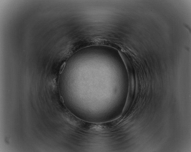 X0000092280611200710041412