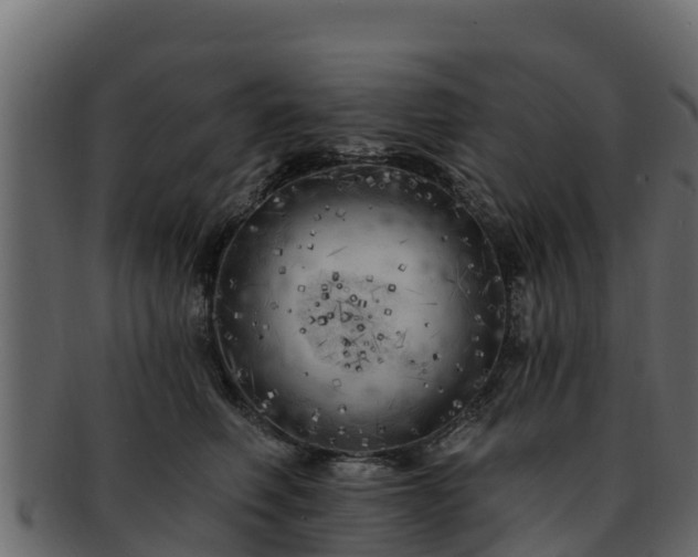 X0000092280614200710041412