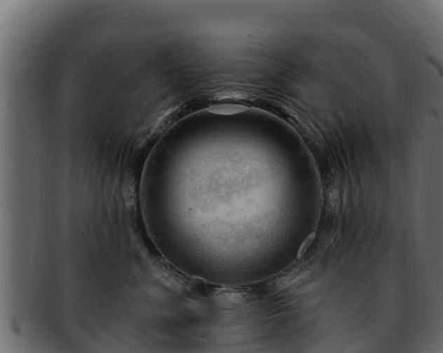 X0000092280620200710041412