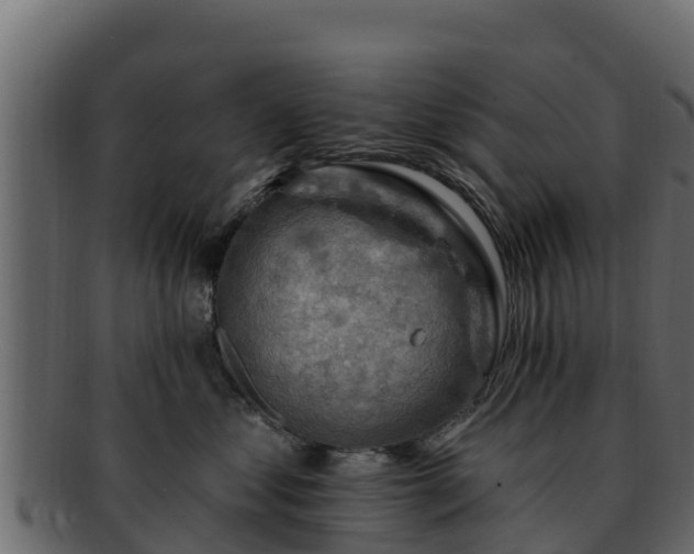 X0000092280621200710041412