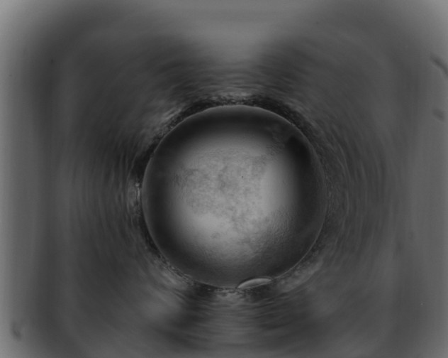 X0000092280624200710041412