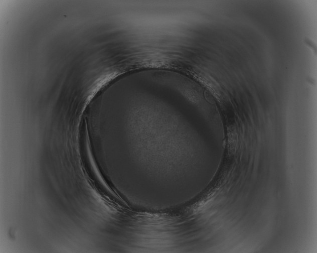 X0000092280626200710041411