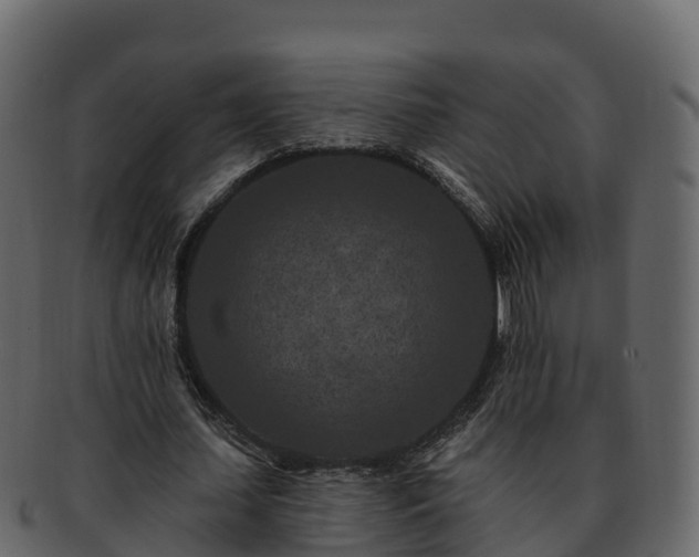 X0000092280627200710041411