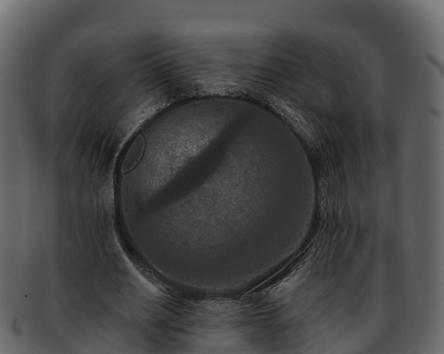 X0000092280630200710041411