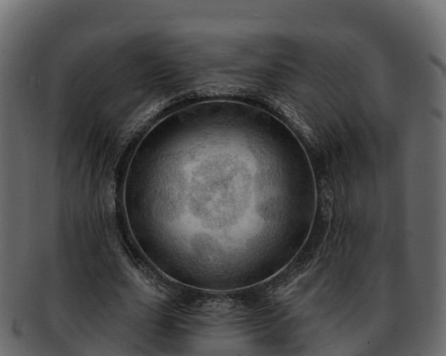 X0000092280631200710041411