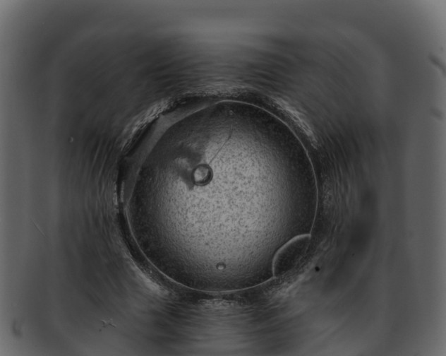 X0000092280633200710041411