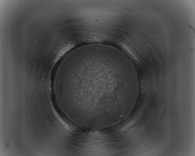 X0000092280634200710041411