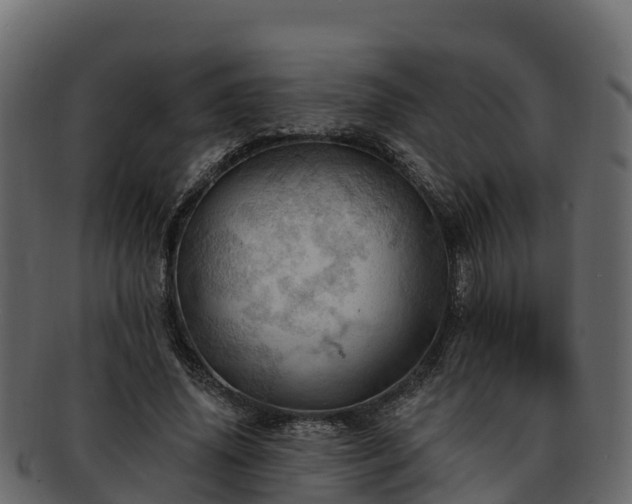 X0000092280636200710041411