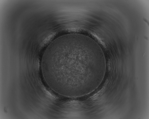 X0000092280637200710041411