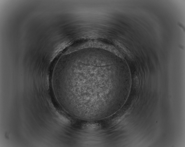 X0000092280638200710041411