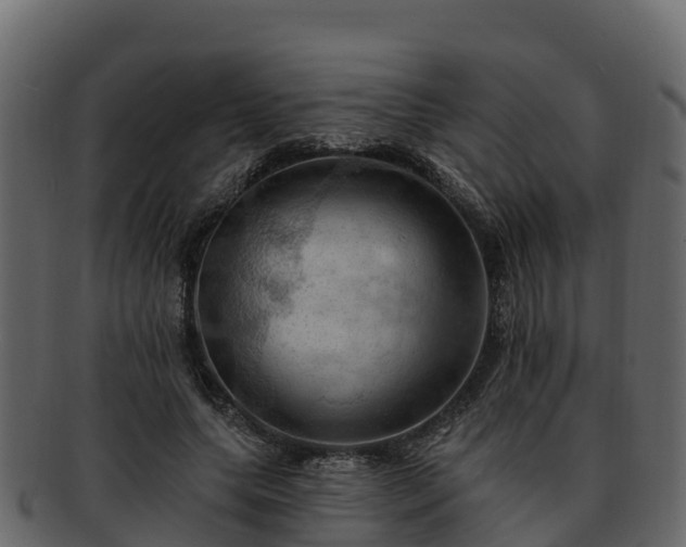 X0000092280639200710041411