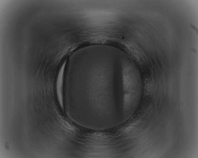 X0000092280641200710041411