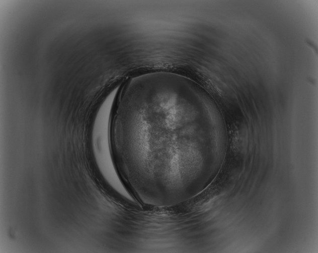 X0000092280643200710041411