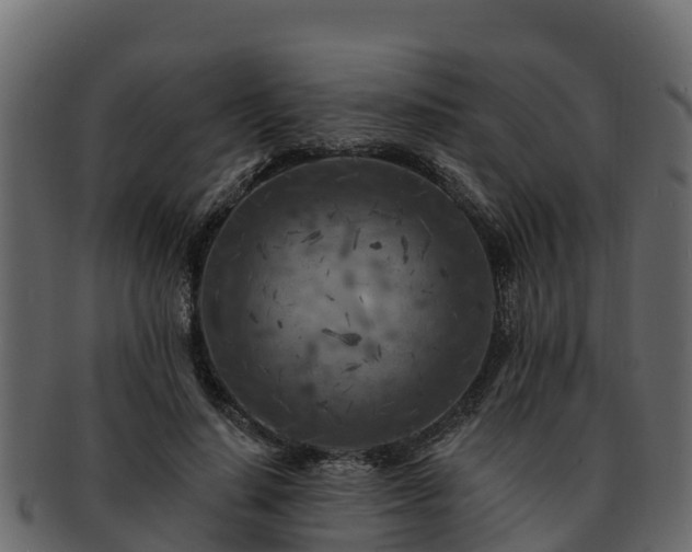 X0000092280644200710041411