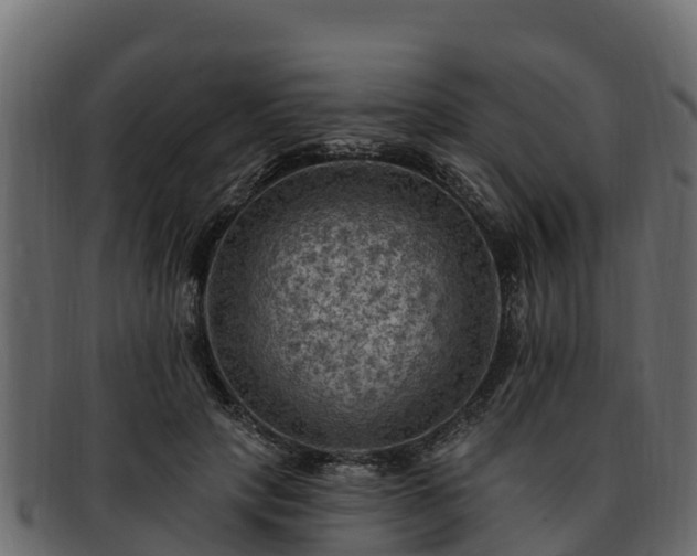 X0000092280649200710041411