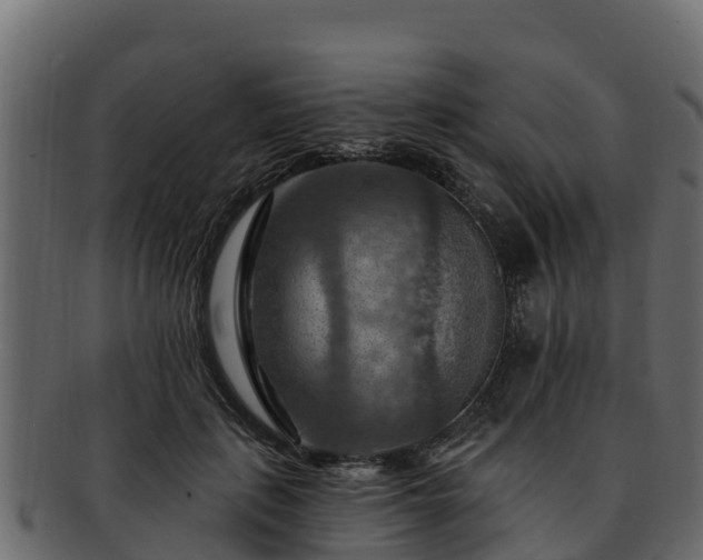 X0000092280651200710041411