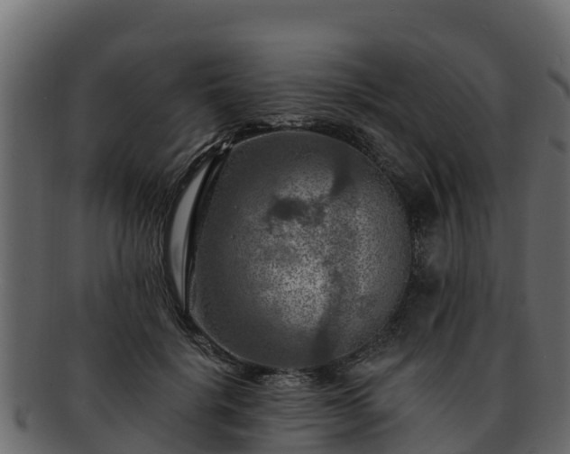 X0000092280652200710041411