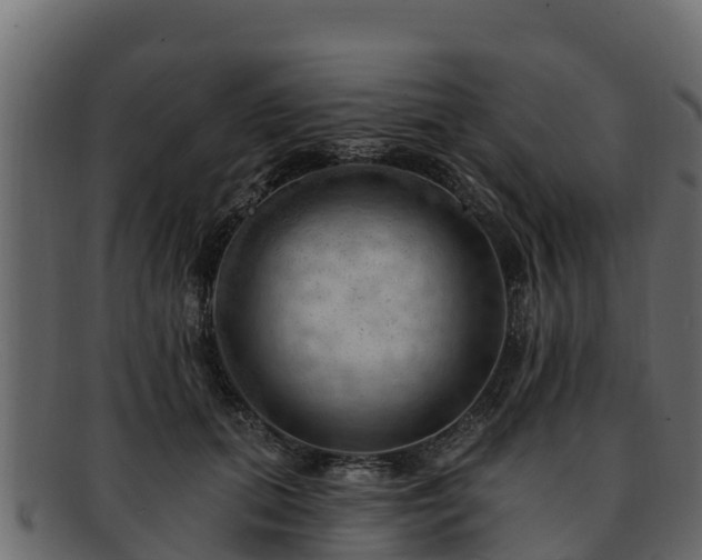 X0000092280655200710041411