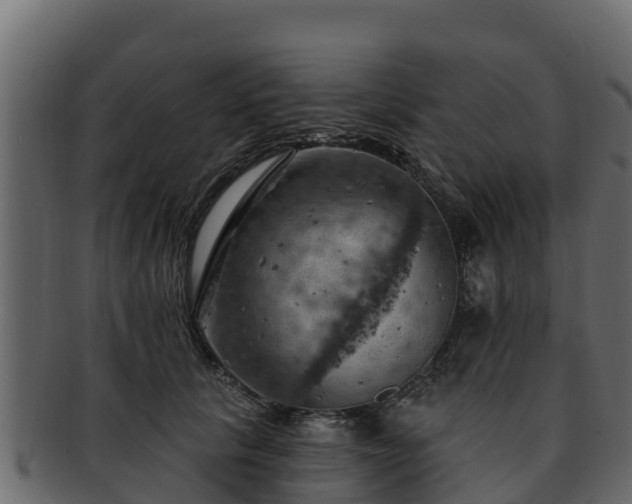 X0000092280657200710041412