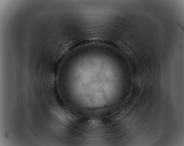 X0000092280660200710041412