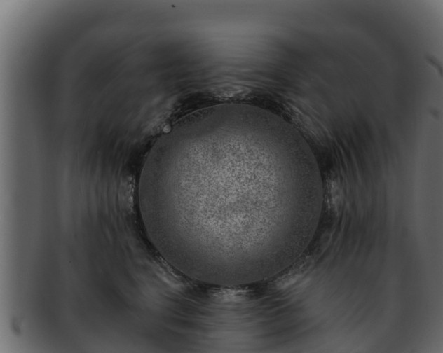 X0000092280664200710041412