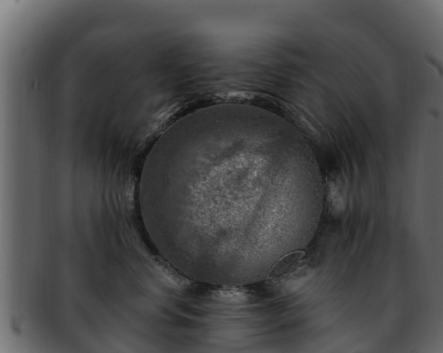 X0000092280668200710041412