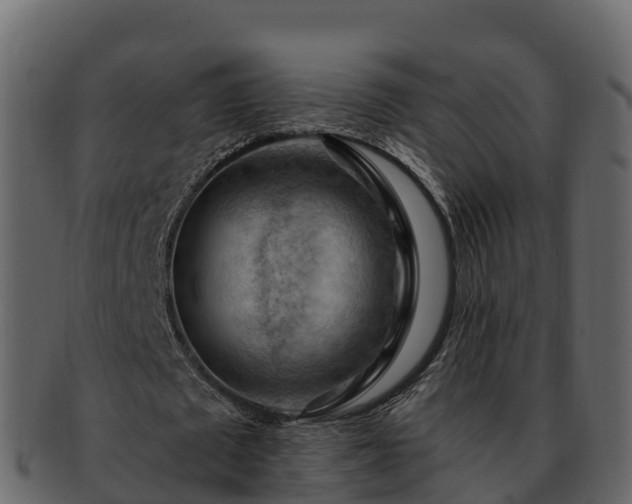 X0000092280673200710041411