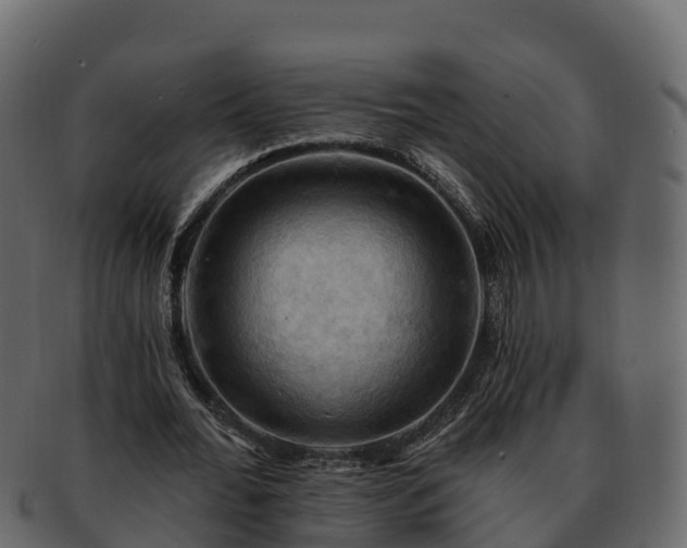 X0000092280676200710041411