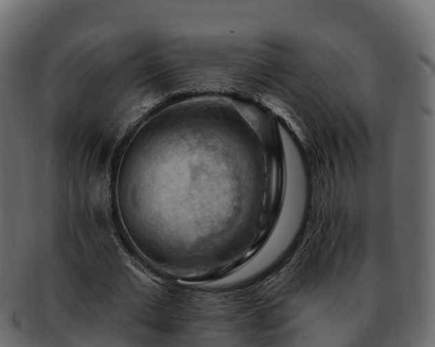 X0000092280677200710041411