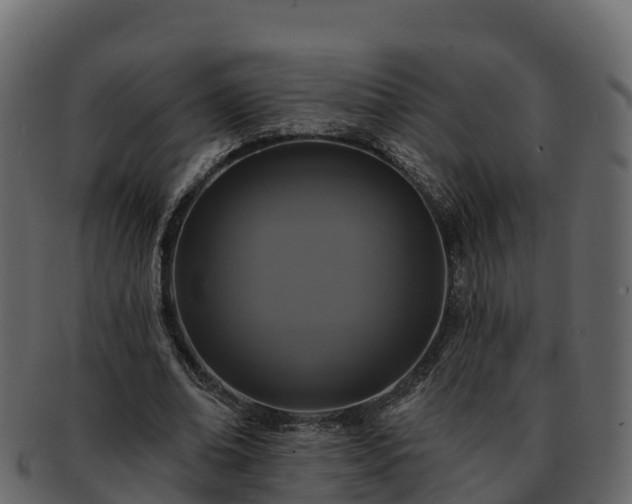 X0000092280678200710041411