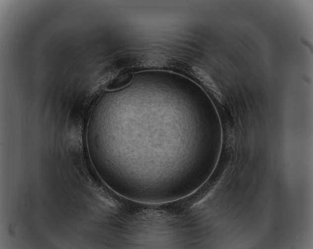 X0000092280681200710041411