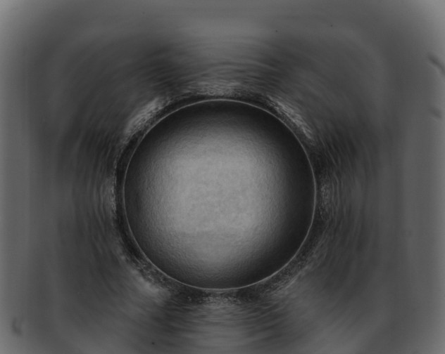 X0000092280682200710041411