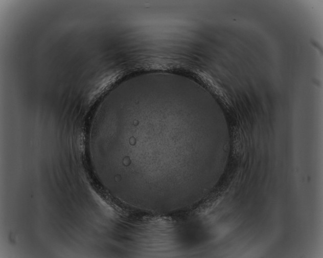 X0000092280683200710041411