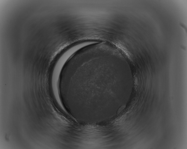 X0000092280684200710041411