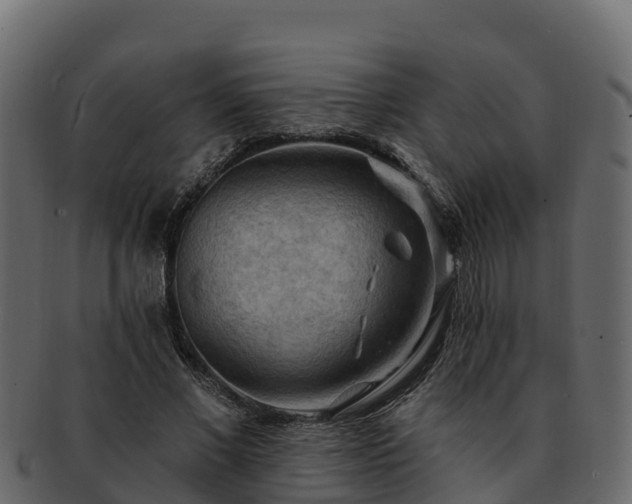 X0000092280685200710041411